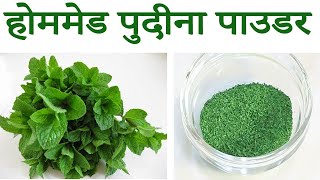 बाजार जैसा पुदीना पाउडर अब घर पर बनाये सस्ते में आसान तरीके से | Mint Powder Recipe | Pudina Powder