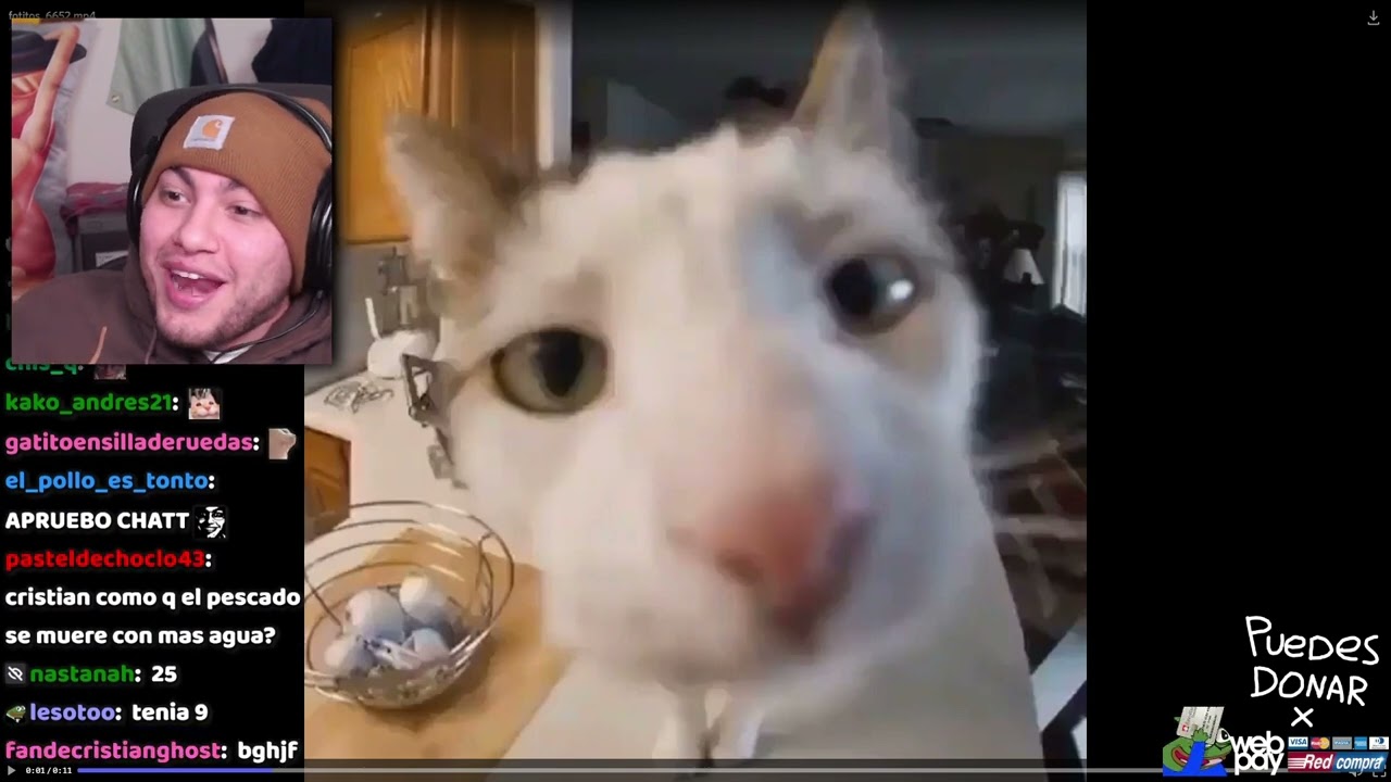 "VI A UN NIÑO DE 9 AÑOS VIENDO TU STREAM XD" - YouTube