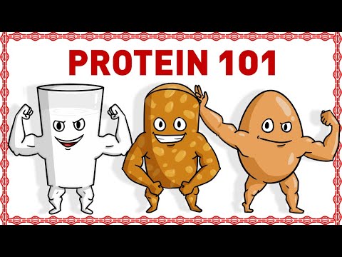 Video: Cara Mendapatkan Protein