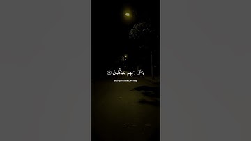 اكتب شيء تؤجر عليه 😴💚 قران كريم | عبد الرحمن مسعد
