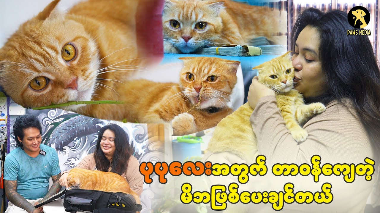 ပုပုလေးကိုချစ်လွန်းလို့ နှစ်ယောက်လုံးရဲ့ခန္ဓာကိုယ်မှာ ပုပုလေးရဲ့ပုံကို တက်တူးထိုးထားတယ်