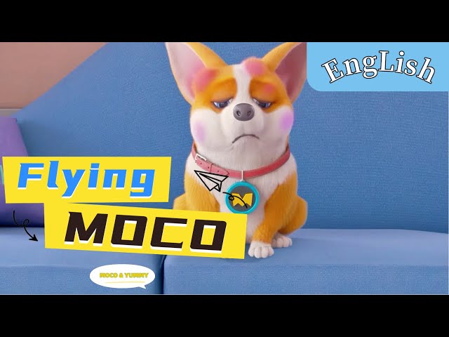 moco❤︎moco Flying MOCO🐶🤩 Seasons 3 | Moco's side-splitting daily