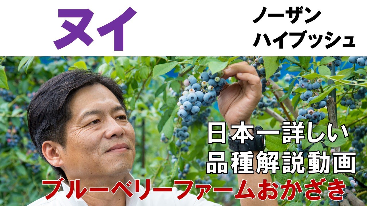 ヌイ】品種解説動画 - YouTube