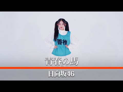 日向坂46『青春の馬』踊ってみた