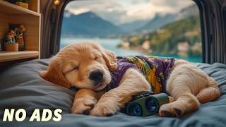 12 Hours Of Dog Healing Music 🎵 Dog Calming Piano Music🐕Relaxing Music for Anxious Puppies to Sleep