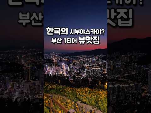 한국의 시부야 스카이?! 노을부터 야경까지 미쳐버린 부산 1티어 뷰맛집 🌆 #vlog #국내여행 #travel