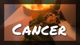 Cancer - They love you… communication sucks… but they do!! #tarotreading #cancer #tarot