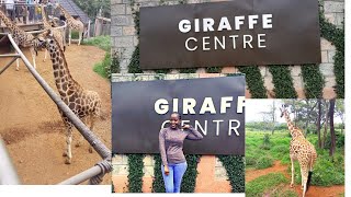 NEW LOOK OF GIRAFFE CENTER NAIROBI KENYA// REVISITING #Newchanges # Revisiting.