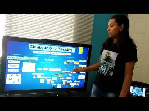 Clasificación Jerárquica