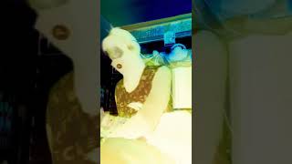 The Phantom Of The Opera nightwish Cover By Ai