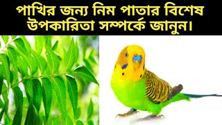 পাখির জন্য নিম পাতার বিশেষ উপকারিতা জানুন ll Learn the special benefits of neem leaves for birds ll