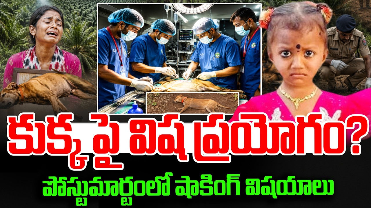 Tuni Gnaneshwari Missing Mystery | Dog Post-Mortem Report | Kakinada Jahnavi Incident | SumanTV Sai