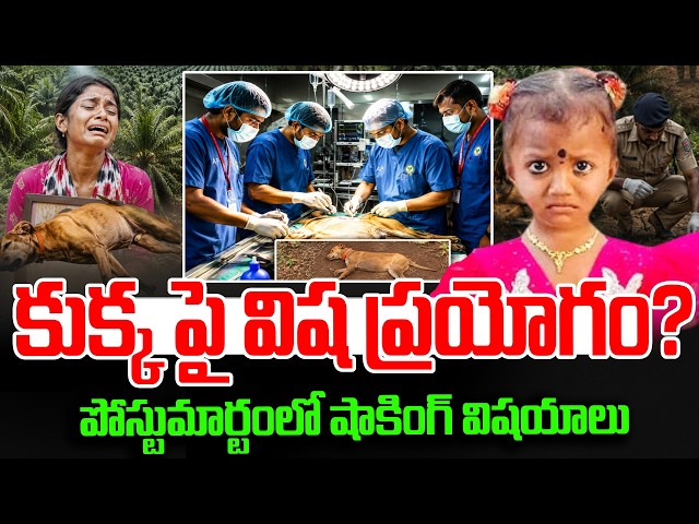 Tuni Gnaneshwari Missing Mystery | Dog Post-Mortem Report | Kakinada Jahnavi Incident | SumanTV Sai