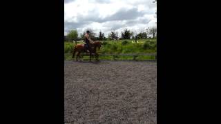 Wildfire Warrior flatwork