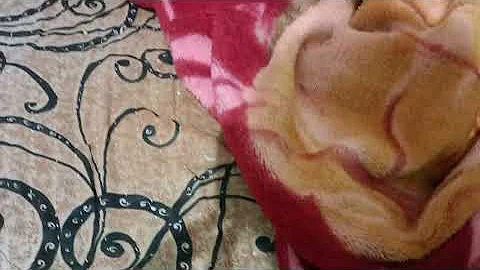 Portrait Video Baimint Nanny Canon Natasha Lyonne b