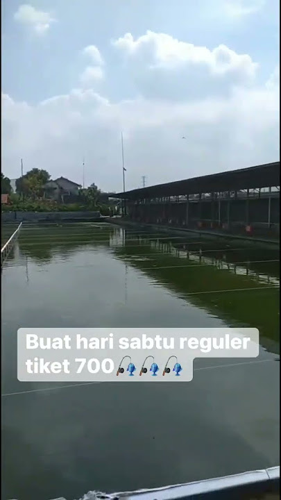hayu Lur gas lagi #shortvideo #fishing #mancing #funny #vlog