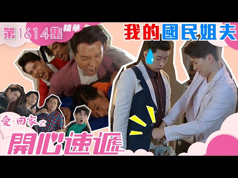 愛回家之開心速遞｜第1614集劇集精華｜我的國民姐夫｜林淑敏｜許家傑｜李偉健｜袁文傑｜TVB港劇精華