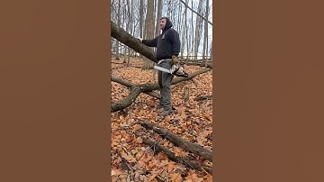 Plan of attack on hung up tree
