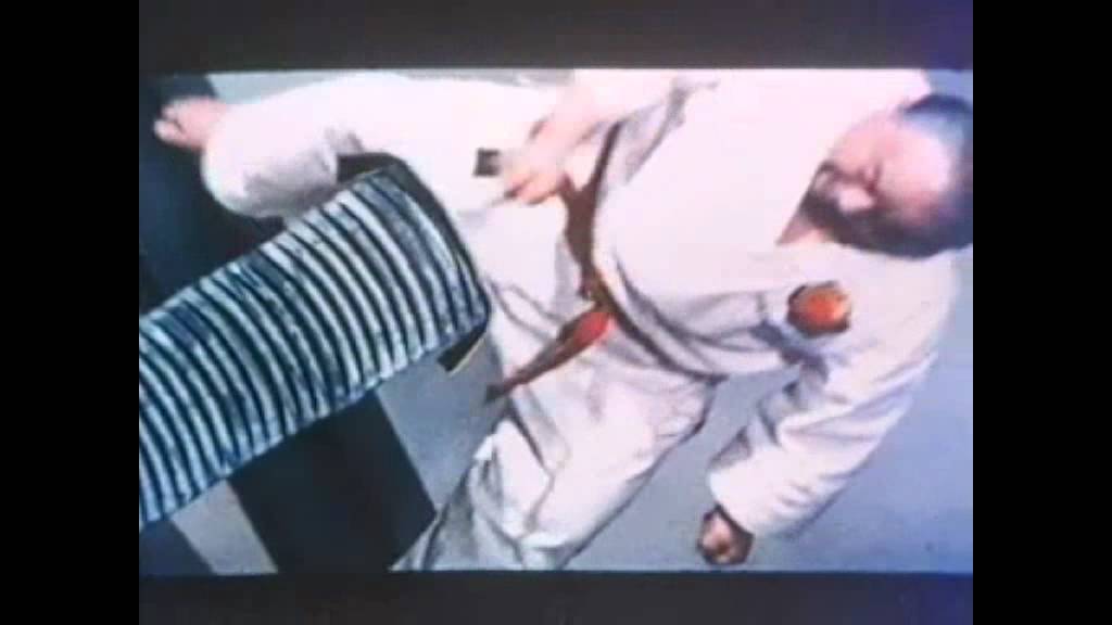 MiC RipZ - The Human Fly Official Video