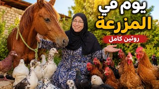 نغيب نغيب ونرجع بالمفيد