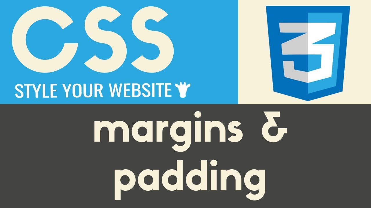 สี css  2022 Update  Margins \u0026 Padding | CSS | Tutorial 4