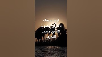 سورة الماعون بصوت القارئ محمد الفقيه #youtube #القرآن_الكريم #محمد_الفقيه