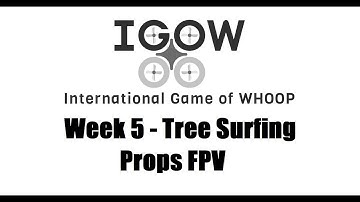 IGOW   Week #5   Tree Surfing
