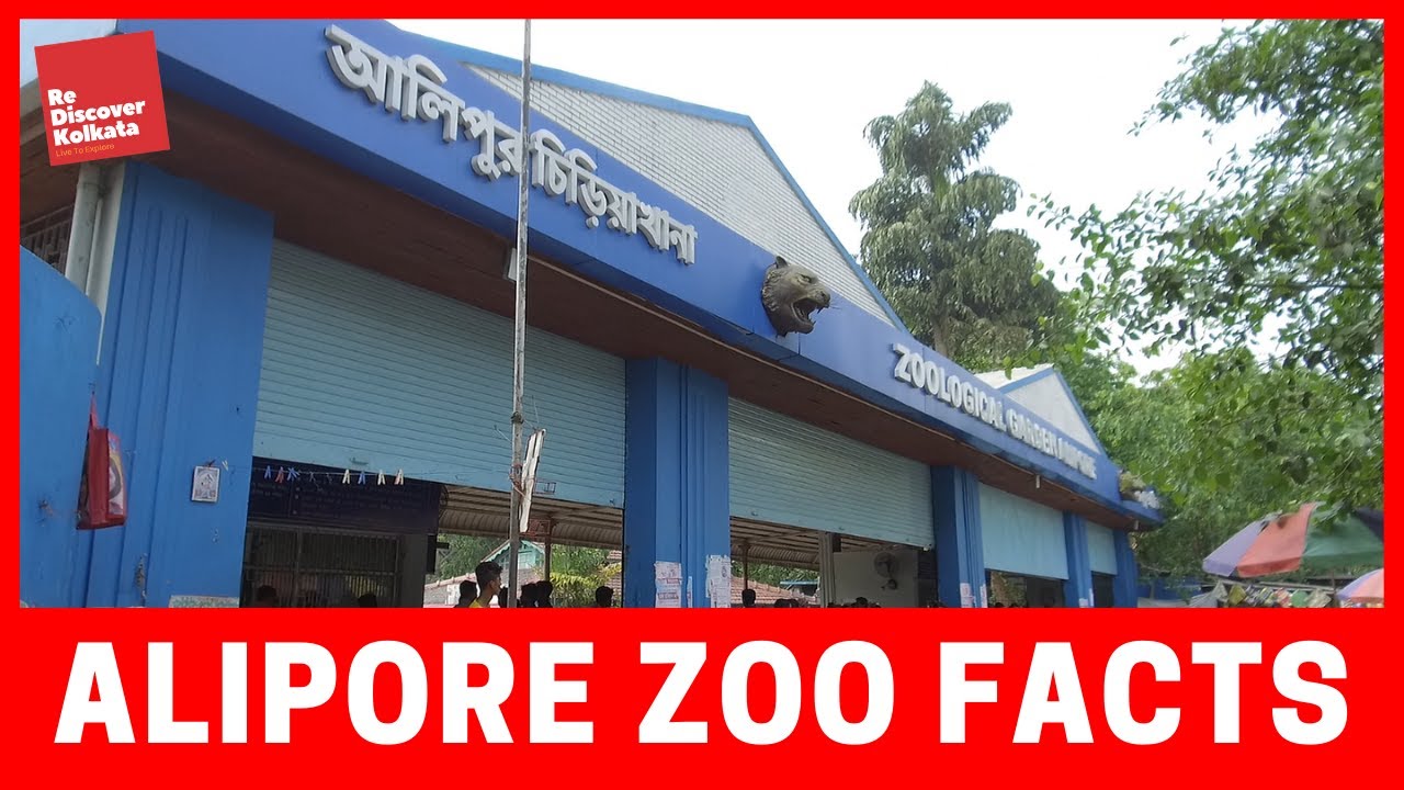 Kolkata Alipore Zoo Zoological Garden আলিপুর চিড়িয়াখানা Vlog