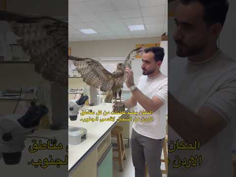 متحف بجامعة الحسين بن طلال بمعان كفيل انه يعرفك على كثير مخلوقات موجودة ببيئة وطنا الحبيب