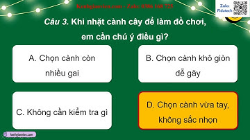 Trò chơi khởi động Hoạt động trải nghiệm 2 Cánh diều tuần 11 | AI HĐTN 2 Cánh diều