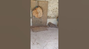 LANCER DE HACHES POV #2 (axethrowing)