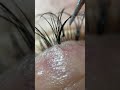 #наращиваниересниц #eyelashextensions #ресницы #наращиваниересницобучение #shortvideo #ресницыспб