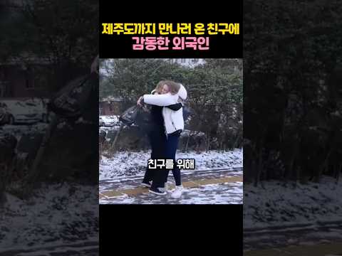 제주도에 예고 없이 찾아온 친구를 본 외국인 반응 thumbnail