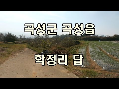 부동산경매 - 전남 곡성군 곡성읍 학정리 답