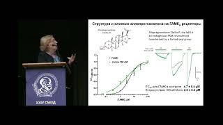 Синергическая модуляция ГАМКа рецепторов аллопрегнанолоном и мефенамовой кислотой