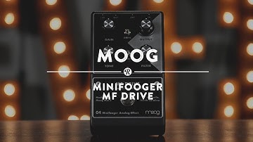Moog Minifooger MF Drive | Reverb Demo Video
