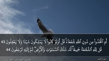 الصفحة 463 سورة الزمر بصوت القارئ المهندس أحمد فايز الحراسيس
