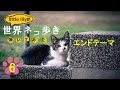 【ネコ歩き⑥】エンドテーマ / 髙野正樹