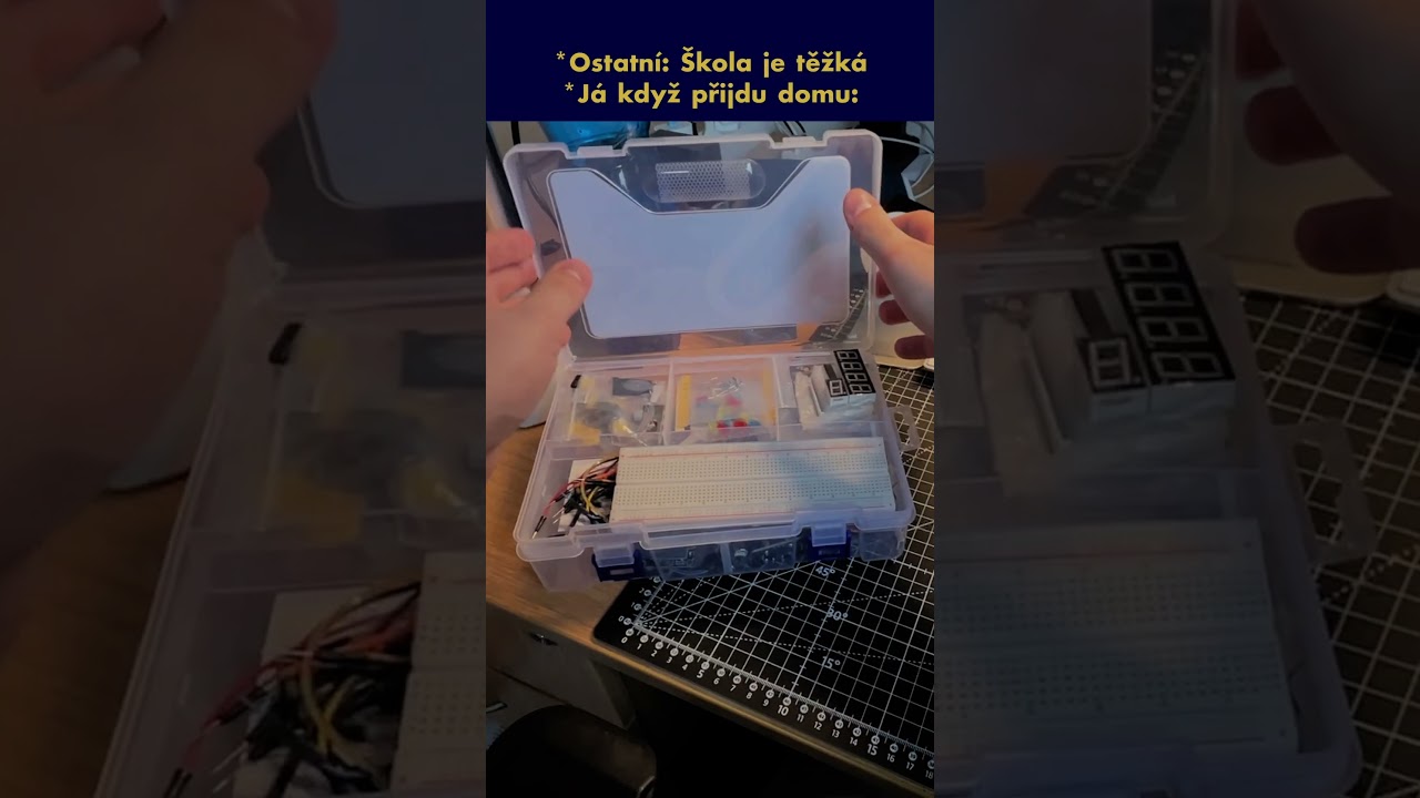 Backseaters po škole