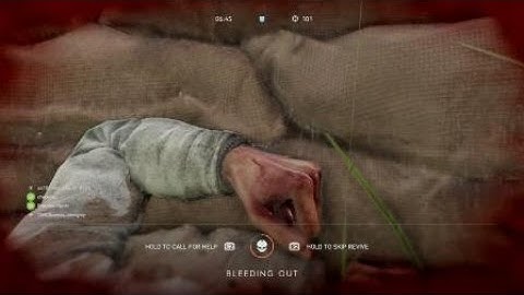 Battlefield™ V invisibility exploit.