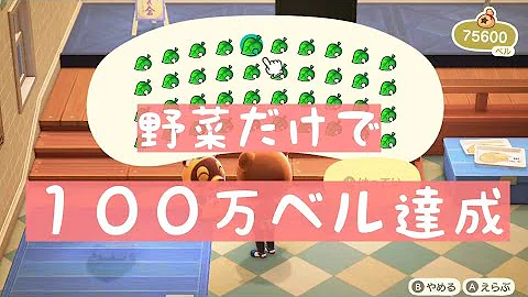 あつ森 野菜だけで１００万ベル 野菜で簡単ベル稼ぎ 時間操作なし 