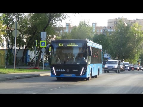 Автобус МАЗ-206 №311