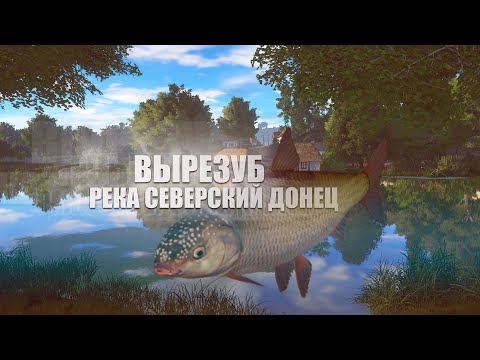 Русская Рыбалка 4 ► Russian Fishing 4 ► Река Северский Донец - Вырезуб
