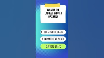 How Many Can You Get Right? | Brain Buzz #quiz #trivia #quizchallenge #shorts  #fyp #brainteasers