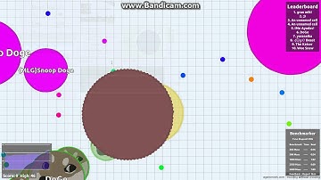 Agar.io HUGE MOTHER CELL!!