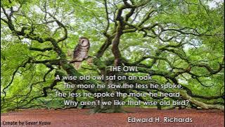 Grade 6 English The Owl (poem 1)