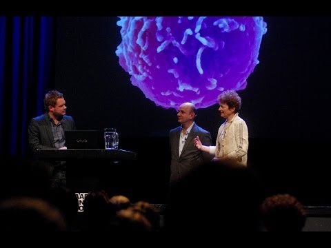 Video: Inzicht In Leukemische Stamcellen En Hun Klinische Implicaties