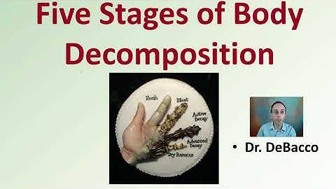 Five Stages of Body Decomposition