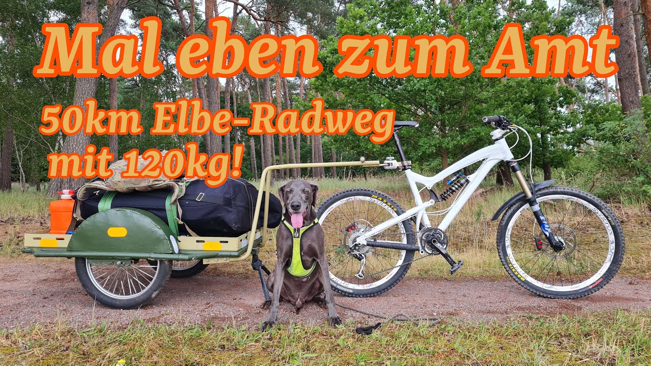 fahrrad de b ware GLOBBER Laufrad Go Bike Fisch-Konserven Größe wählen:5 Stk Bottecchia BE11 E-City Lady