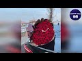 Чеченская Песня СУПЕР НОВИНКА💗Ас Хьайга Мел Дийцарх Кхетар Яц Хьо🔥2020